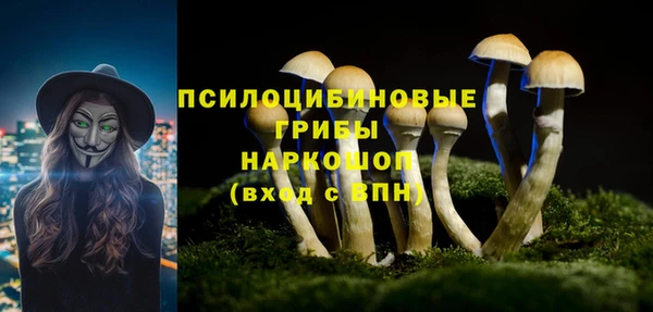 круглые Алзамай