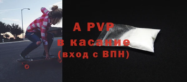 хмурый Абаза