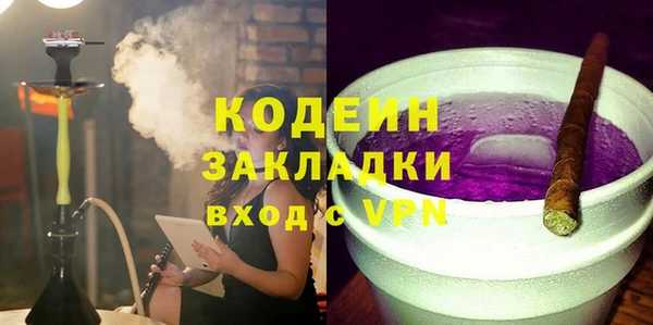 хмурый Абаза