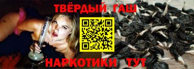 спиды Новозыбков