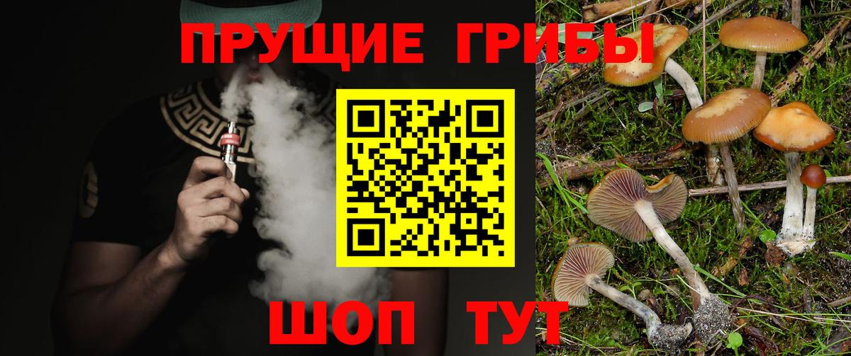 Тюмень  дарнет шоп  Вход с VPN  Псилоцибиновые грибы мухоморы  Галлюциногенные грибы мухоморы 